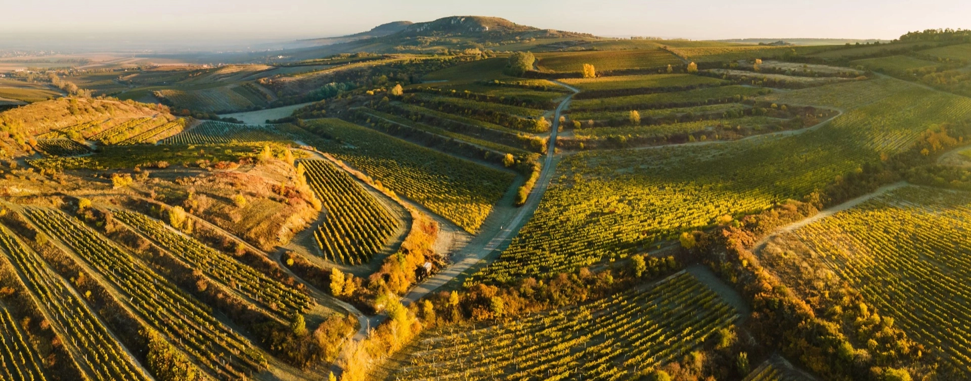 Osvěžující elegance v každé sklenici